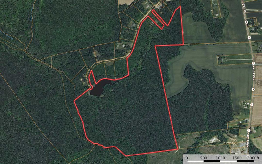 125 ± Ac. in Northern Neck of VA
