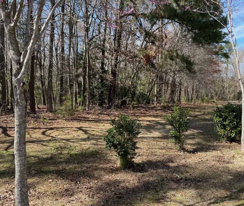 UNDER CONTRACT! 5 Acres of Wooded Land in Windsor, VA